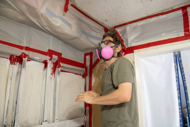 Best Mold Remediation for Vacation Homes  in Garrett, IN